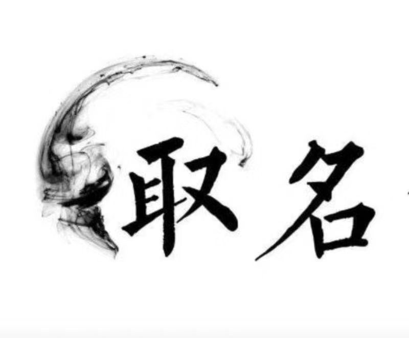  兴县宝宝取名 大师一对一人工起名